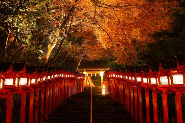 Kifune Shrine
(Enjoy the mystical approach lit by the gentle light of lanterns and the autumn leaves / Approx. 50 minutes)