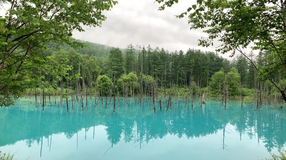 Shirogane Blue Pond (30 mins)