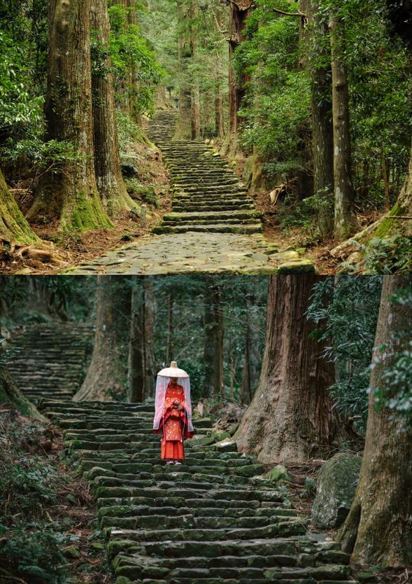 Walk the Kumano Kodo Daimonzaka Course (approx. 2.7 km walking / 150 min)
Daimonzaka
Walk along the atmospheric moss-covered stone path lined with ancient cedar trees.