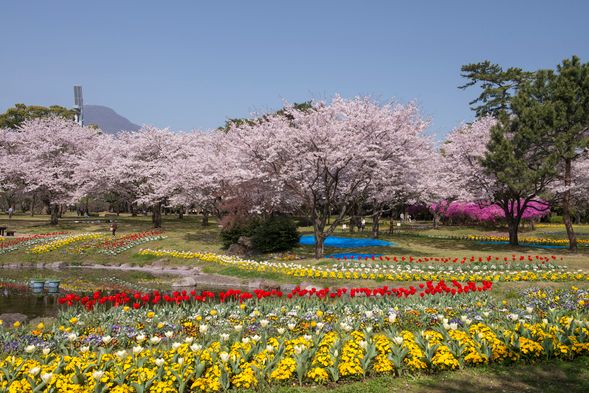 12:15 Beppu Park (90min)