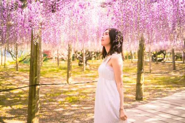 **Please rest assured that the admission fee is included in the tour price.
**It is a 5-minute walk from the parking lot to the garden entrance.