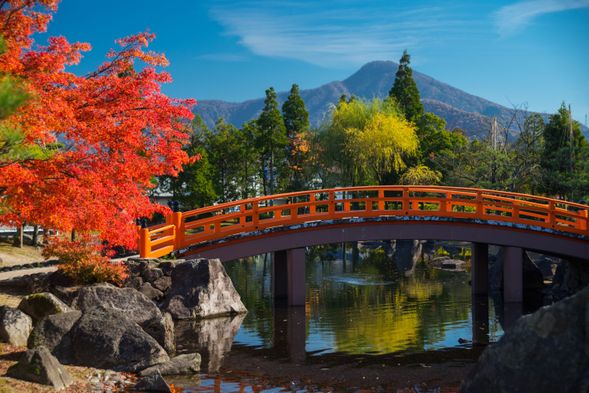 Murasaki Shikibu Park (40mins)
★Autumn Leaves