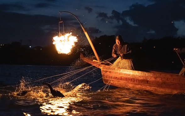 Kiso River Ukai (Cormorant Fishing) Boat Cruise
※Enjoy dinner on a boat while viewing the illuminated Inuyama Castle.
After your meal, experience the traditional ukai (cormorant fishing), a 1,300-year-old practice,
up close from a yakatabune (roofed boat), with the sounds and warmth of crackling bonfires.
