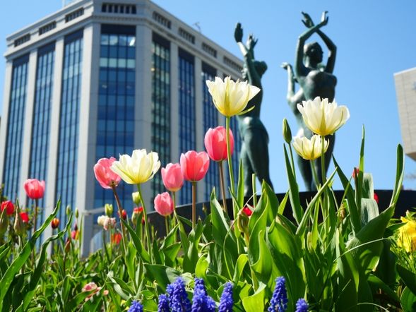 ▶Walk via Odori Koen Park
A place of relaxation for the tourists and Sapporo citizens.