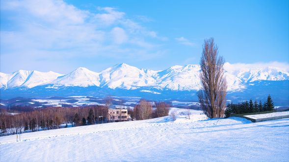Tree of Ken and Mary (visit about 10 min)
