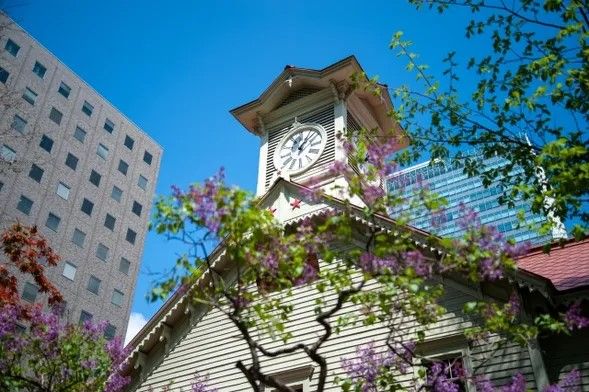 Sapporo Clock Tower (Drop-off possible)