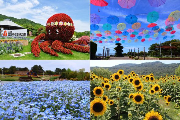 Akashi Kaikyo National Government Park (Awaji Island)
Enjoy seasonal flower viewing in the spacious seaside park (approx. 60 minutes)