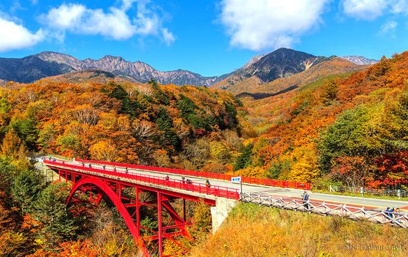 Higashizawa Ohashi / The Red Bridge
(A famous spot for autumn foliage in the Kiyosato Highlands, where you can enjoy the great nature of the Yatsugatake Mountains and the fall colors)