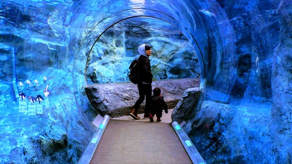 Asahiyama Zoo (185 min)
Lunch is not included.
Please have lunch at your own.