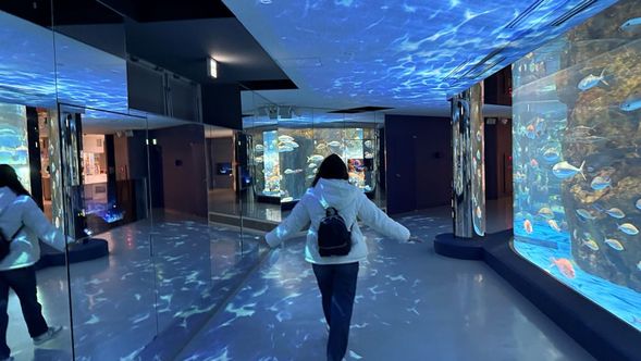 Notojima Aquarium! Let's go!