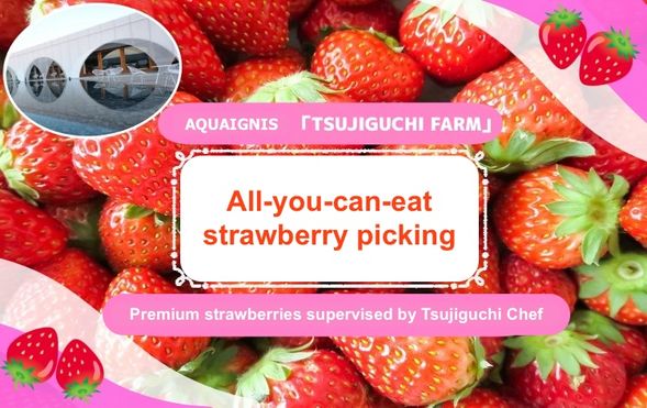 TSUJIGUCHI FARM
All-you-can-eat strawberry picking at TSUJIGUCHI FARM supervised by a world-famous pastry chef. (Approx. 40 minutes)