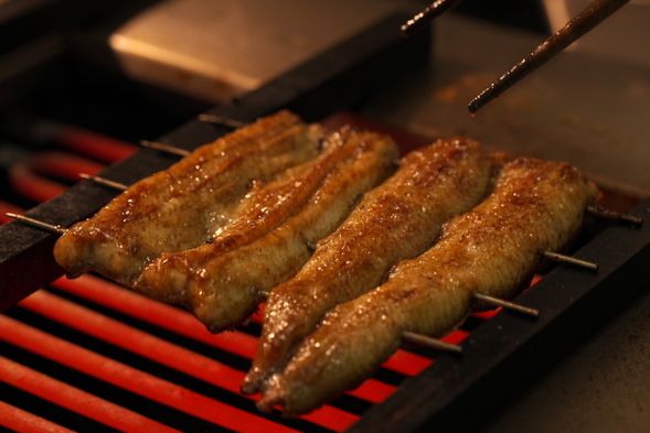 Lunch Onboard – Unagi by Unasho
Savor a traditional unajū featuring Kyōsui Unagi, a premium eel raised in the pure spring waters of the Ōi River and known as the “phantom eel.” Enjoy this celebrated specialty from the famed restaurant Unasho.