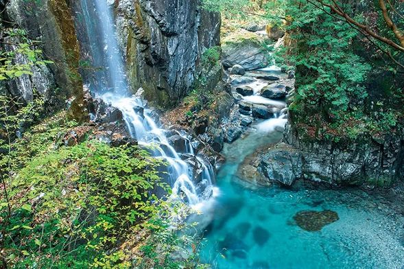 Tsukechi Gorge
(Selected as one of Japan's 100 Best Forests for Forest Bathing and one of Gifu Prefecture's 50 Best Waters, the approximately 860m walking trail leads to the quietly flowing Kannon Falls and the dynamic Fudo Falls. Breathe in plenty of negative ions and enjoy nature! / approx. 60 minutes)