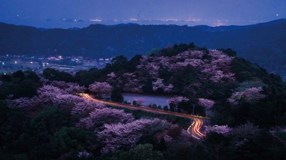 Enjoy the night view from Senganzan
