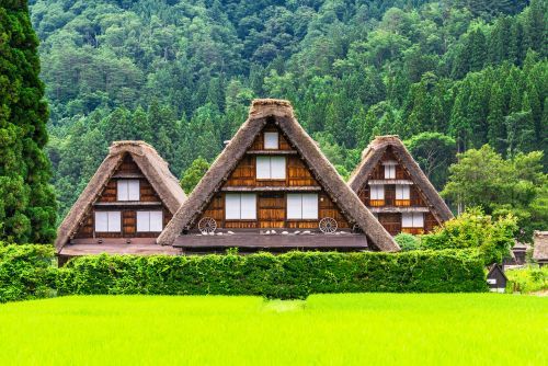 Shirakawago(150min.)