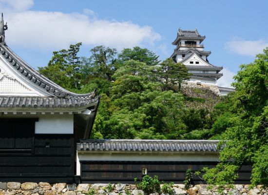 Kochi Castle <Free Stroll> (Approx. 60 minutes)
★A famous castle in the Nankai region overflowing with the colors of the four seasons! 15 buildings are designated as important national cultural properties!