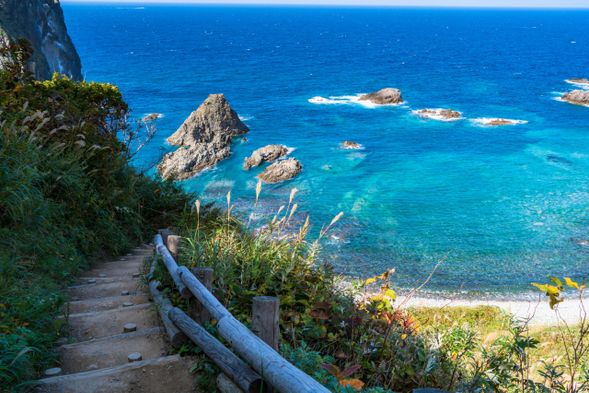 Cape Kamui (free time/45 min)