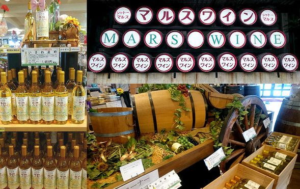 Mars Yamanashi Winery (tasting and shopping).