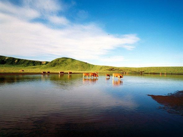 Mount Aso + Kusasenri