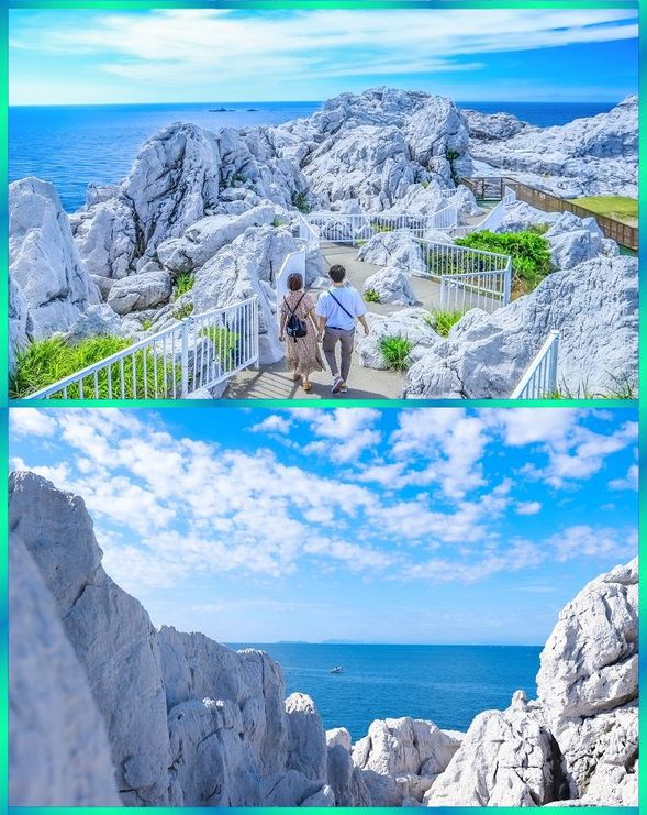 Shirasaki Ocean Park
Enjoy spectacular coastal scenery known as the “Aegean Sea of Wakayama” with beautiful blue-and-white contrasts
(Approx. 40 minutes)