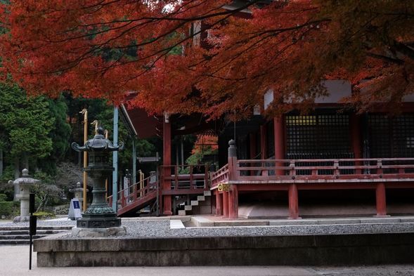 Mount Hiei-Enryaku-ji Temple(120 minutes/Admission fee not included)