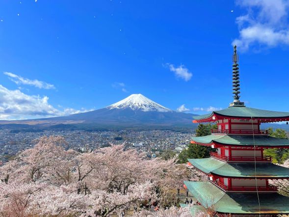 Arakurayama Sengen Shrine
・The world-famous views of a five-story pagoda and magnificent Mt. Fuji
・Experience Japanese religion at a Shinto shrine