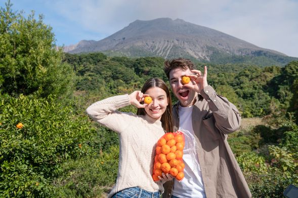 Mandarin orange picking