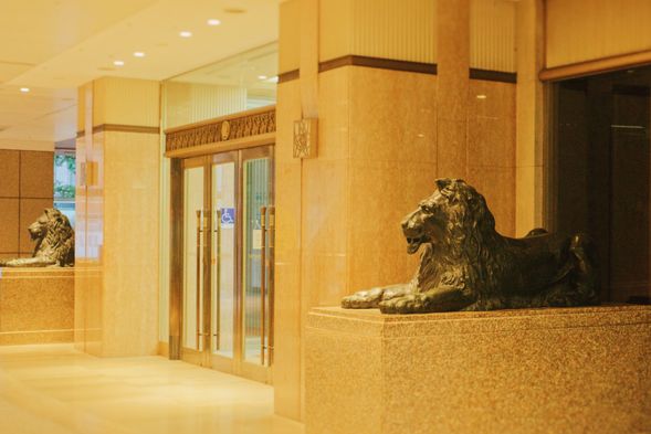 Meet your guide at Mitsukoshi Lion square (Tenjin Area)