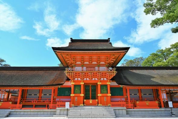 10:00 Usa Jingu(60min)