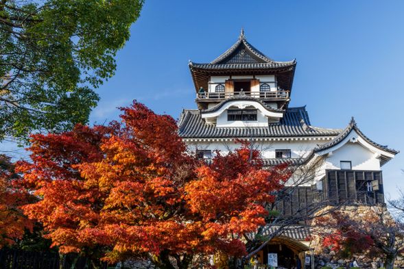 Inuyama Castle and Castle Town
(approx. 120mins)
★Free Lunch
- You can enjoy various kinds of gourmet food at castle town!