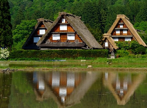 UNESCO World Heritage Site: Shirakawa-go
(About 100 gassho-style houses of various sizes remain in the Ogimachi village. Enjoy free time to explore and have lunch on your own / approx. 120 minutes)