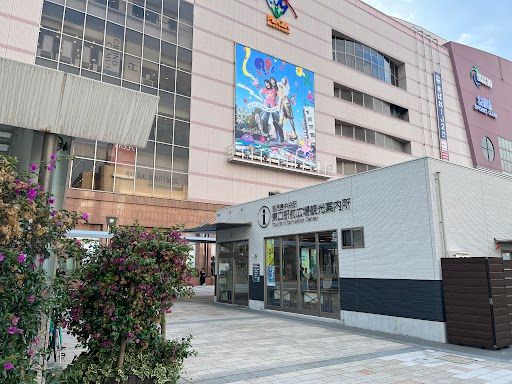 Depart from Kagoshima Chuo Station or Hotel in Kagoshima city