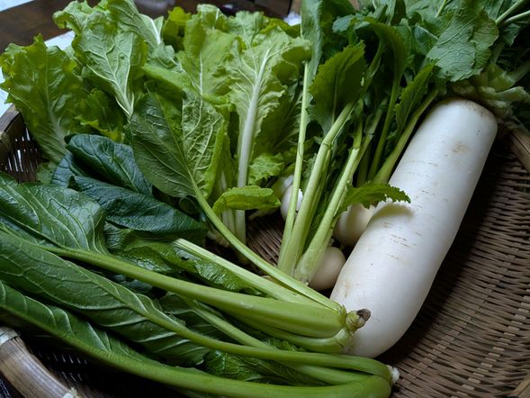 Harvest experience
Enjoy picking seasonal vegetables at a local farm