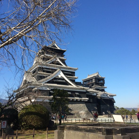 Kumamoto Castle/Sakura no baba Josaien (Free time about 60~80 minutes)(10:00~11:20)