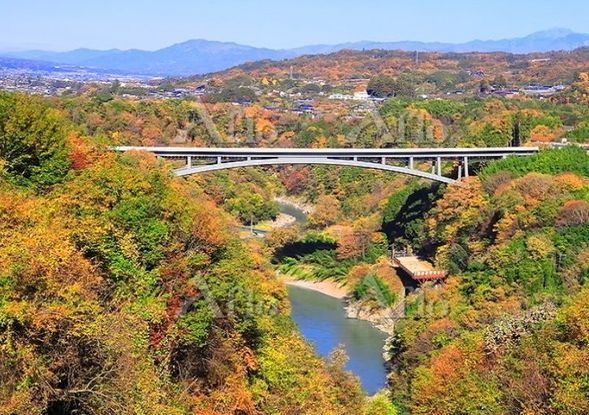 Tenryukyo Bridge "Sky Stroll"
(Experience the solitary bridge soaring into the sky! You can also enjoy the autumn foliage at this time of year! / Approx. 40 minutes)