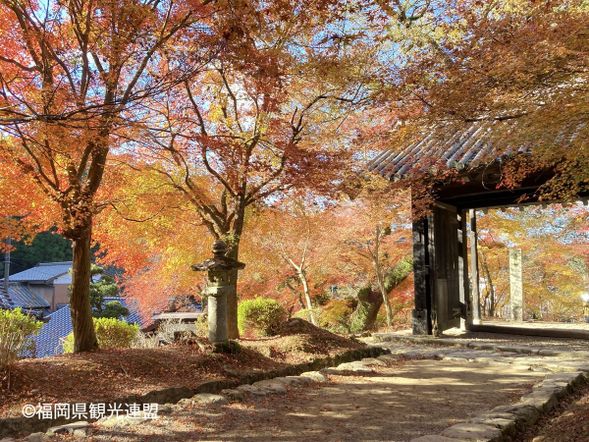 13:00 Akizuki Castle Ruins (60min)