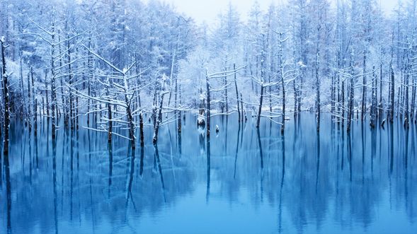 Blue Pond・Aoi-ike (visit about 15 min)
*The surface of the pond might be covered by snow, and you might not see the "Blue" color of the pond, depending on the weather condition.