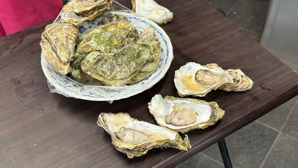 The Noto oyster season begins in early November.
Please stop by Sakashita Fisheries.