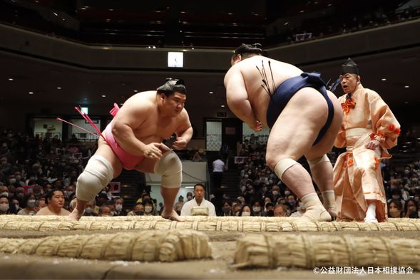 Watch the Grand Sumo Tournament (180 minutes/ Admission fee is included)