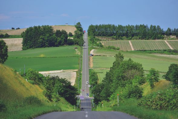 Roller Coaster Road (View from bus)