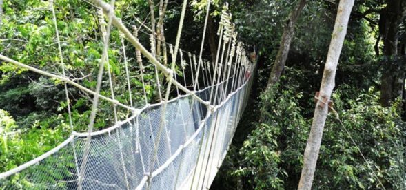 Enjoy beauty skin hot spring and canopy walk