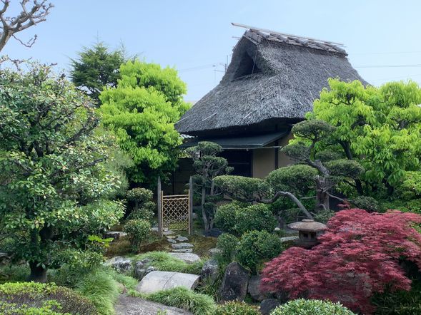 膳所焼美術館 ひな人形展と美術館見学(抹茶付き)