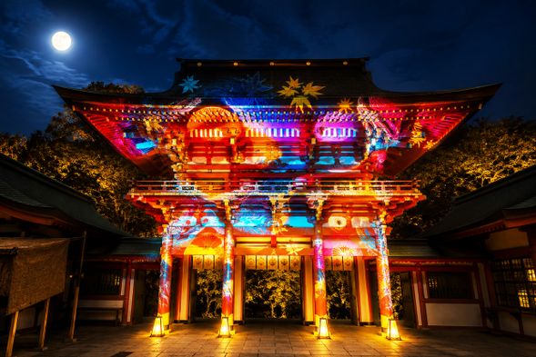 近江神宮「内拝殿特別拝観」
近江神宮ならではの「時」と「かるた」をテーマにした”初”のライトアップ。本ツアー限定で神職のご案内による内拝殿の夜間特別拝観をお楽しみいただけます!