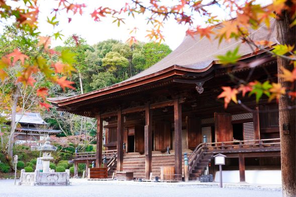 国宝・金堂 内陣特別拝観(千手観音立像・二十八部衆)