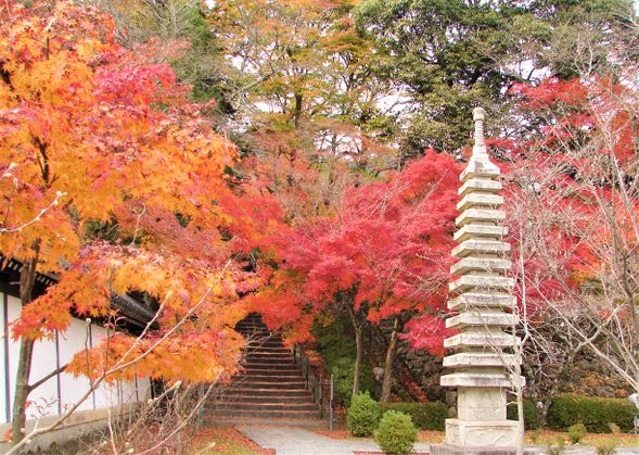 西教寺
特別公開 聖徳太子ご木像
昼食:名物「菊御膳」