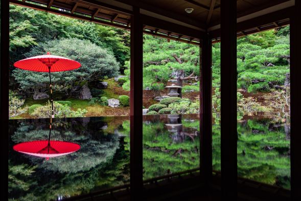 旧竹林院 国指定名勝の庭園を探訪