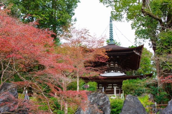 石山寺をご案内・・・本堂(国宝)・紫式部供養塔・多宝塔(国宝)など