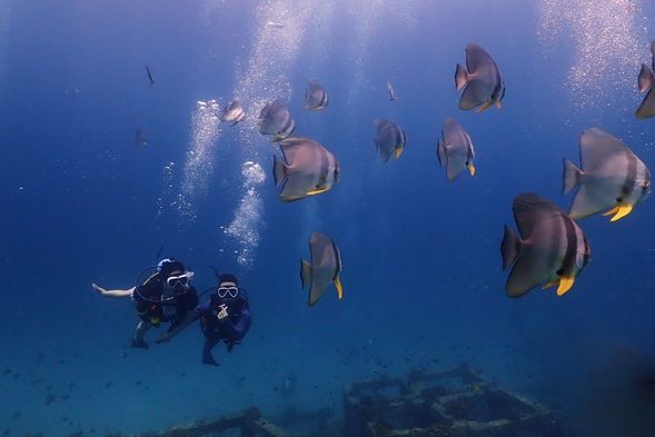 Dive no. 1 at Racha Yai or Racha Noi Island