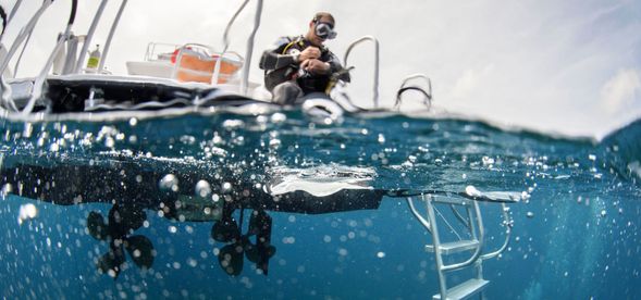 Back to Pier and Transfer to Hotel