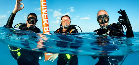 Apply what you learnt and perform to your instructor